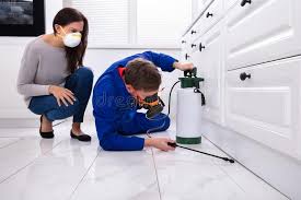 Best Residential Pest Control  in Port Byron, NY